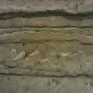 Meet your Posher, Luis